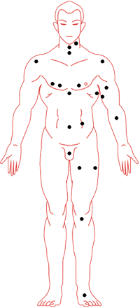 男性身体正面