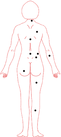 女性身体背面