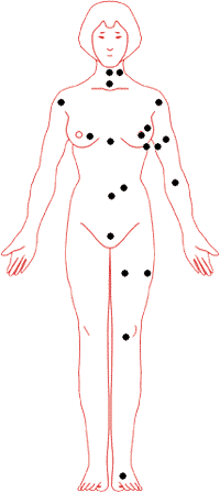 女性身体正面